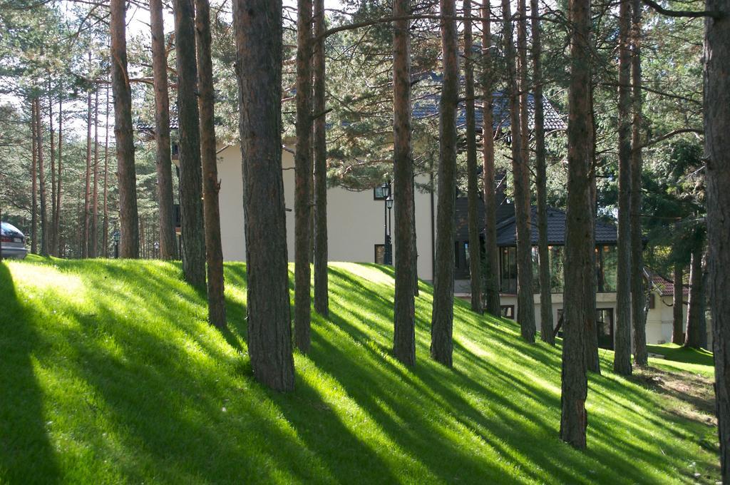Vila Pina Zlatibor Eksteriør bilde